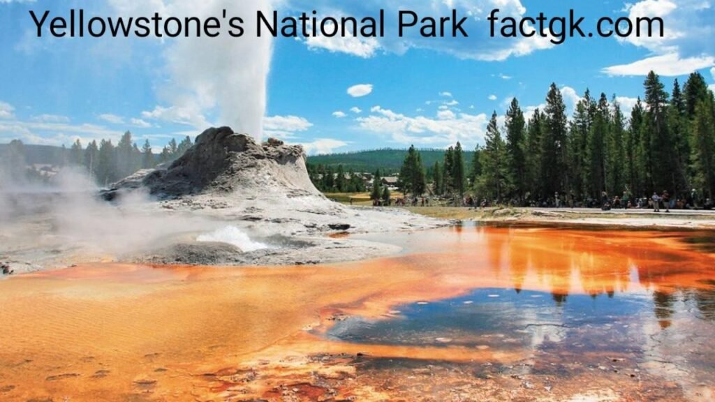 Yellowstone National park 