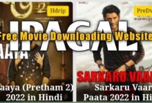 Ipagal free free movie hindi dubbed