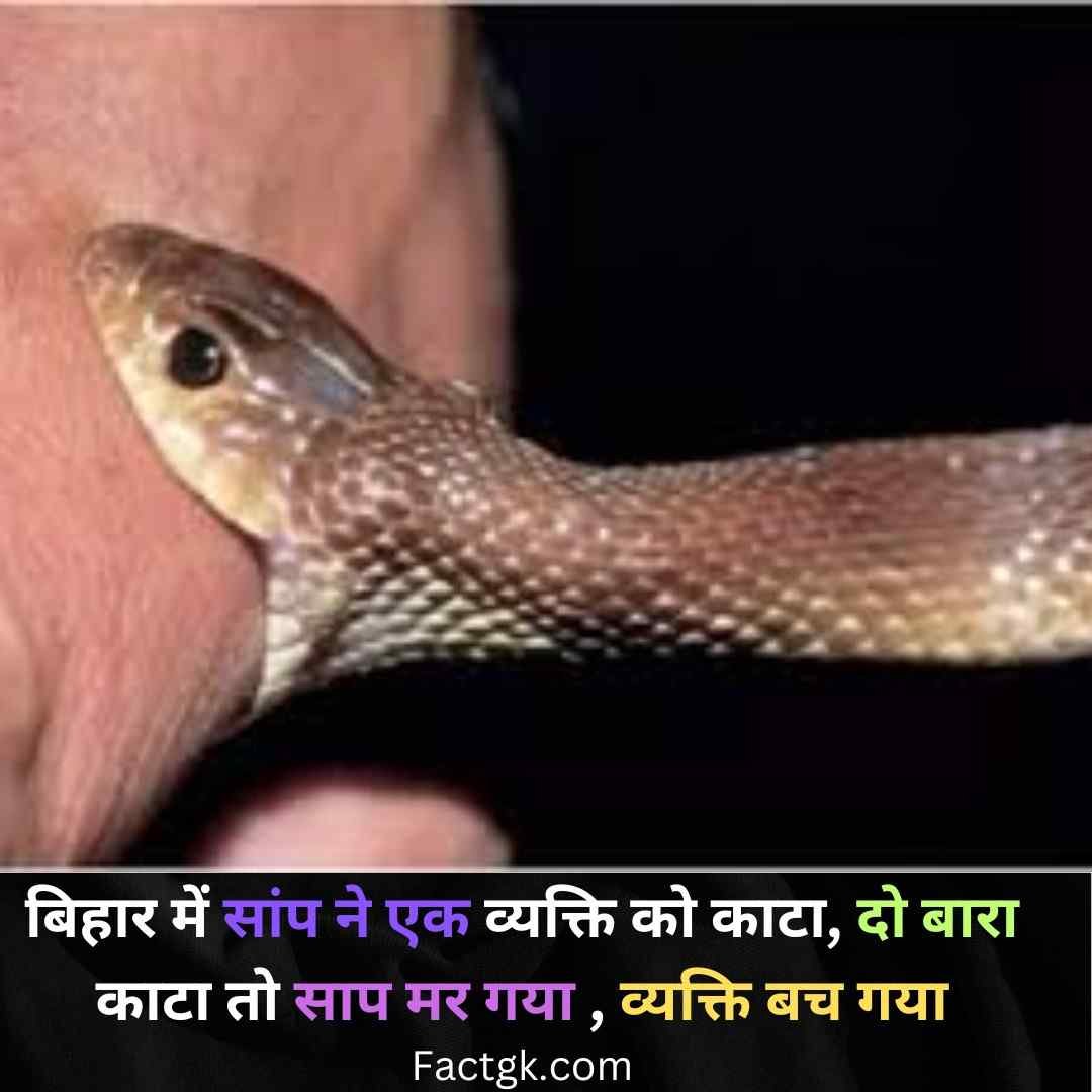 Snake bits man in Bihar, He bites back twice Snake died, Man survive